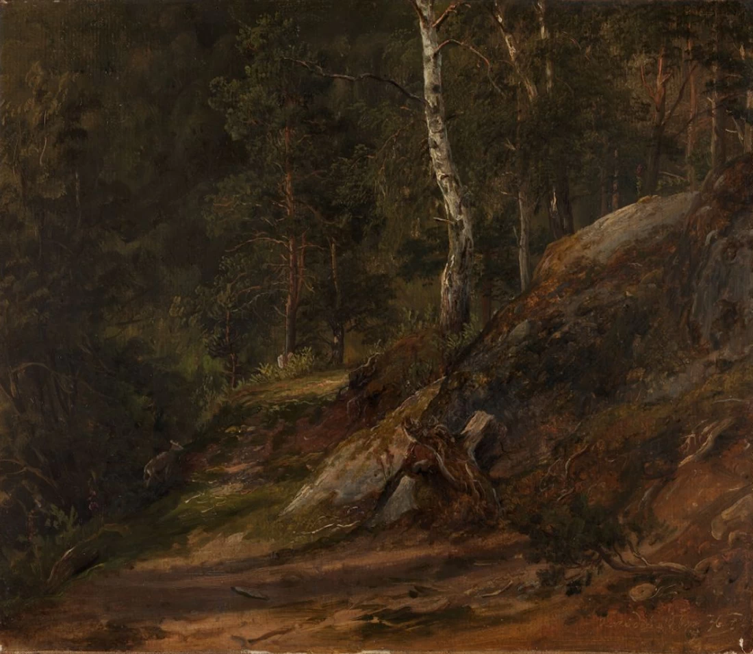 Studio della foresta da Romsdal - 1836, National Museum Oslo